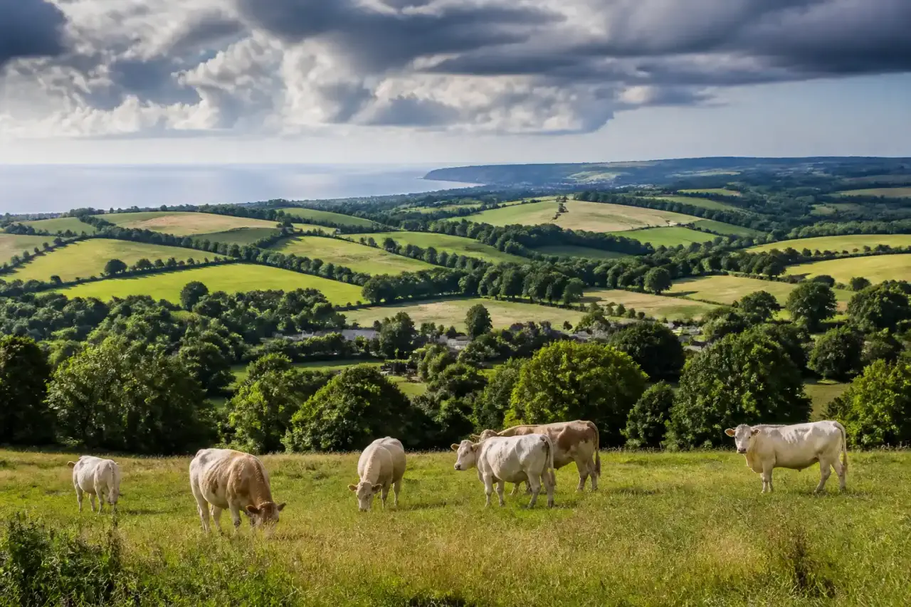 Mains tenant une terre riche dans un paysage de campagne normande, lumière dorée de fin de journée